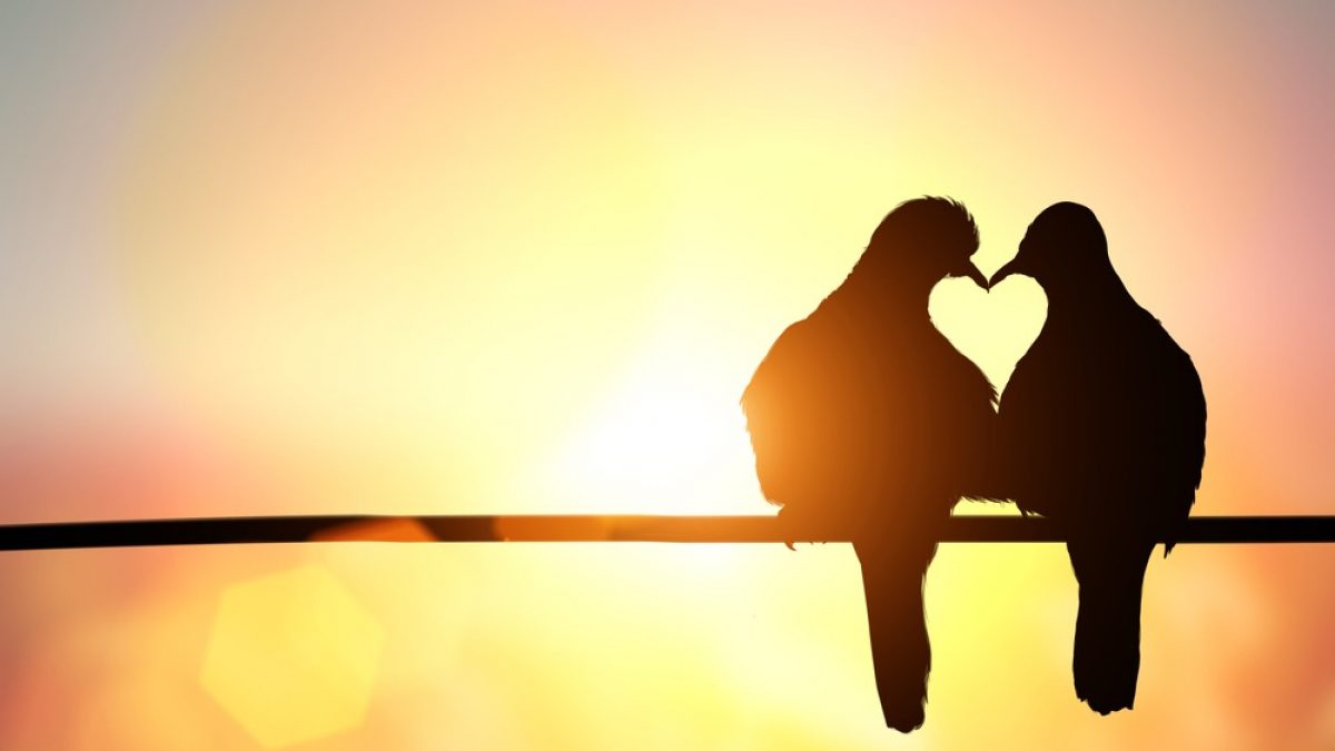 hoe weet je of je verliefd bent hoe weet je of je verliefd bent