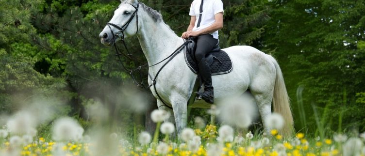 Hoe ontmoet je jouw prins op het witte paard?